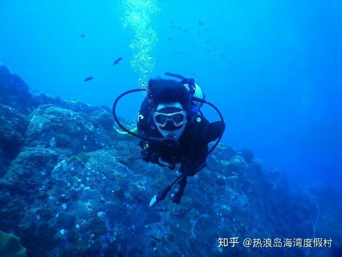 青字加定字读什么游戏画面