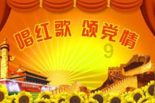 集邮者的收藏